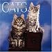 Cat Calendar : Maine Coon Cats 2006 Calendar