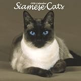 Siamese Cats 2006 Calendar