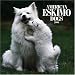 american eskimo dog : American Eskimo Dogs 2006 Wall Calendar