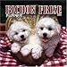 Search : Bichon Frise Puppies 2006 Mini Wall Calendar