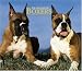 Search : For the Love of Boxers Deluxe 2006 Wall Calendar