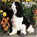 english cocker spaniel : English Cocker Spaniels 2006 Wall Calendar
