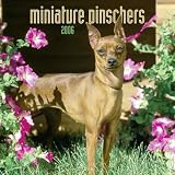 : Miniature Pinschers 2006 Wall Calendar