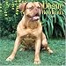 dogue de bordeaux : Dogue de Bordeaux 2006 Calendar