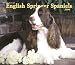 english springer spaniel : For the Love of English Springer Spaniels Deluxe 2006 Calendar