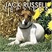 Search : Jack Russell Terriers 2006 Calendar