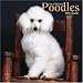 Search : Toy and Miniature Poodles 2006 Calendar