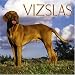 Search : Vizslas 2006 Wall Calendar