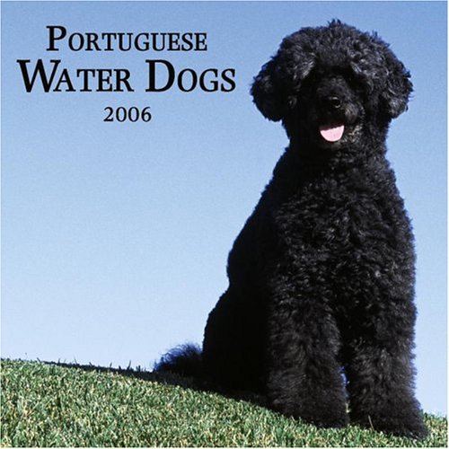 Portuguese Water Dogs 2006 Wall Calendar