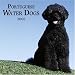 portuguese water dog : Portuguese Water Dogs 2006 Wall Calendar