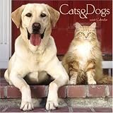Cats & Dogs 2006 Calendar