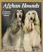 afghan hound : Afghan Hounds: Everything About Purchase, Care, Nutrition, Behavior, and Training (Complete Pet Owner's Manual)