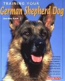 Training Your German Shepherd