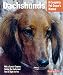Dachshund Dog Breed Books : Dachshunds: Everything About Purchase, Care, Nutrition, and Behavior (Complete Pet Owner's Manual)