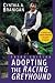 Adopting the Racing Greyhound