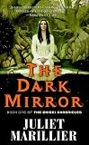 The Dark Mirror: Book One of the Bridei Chronicles