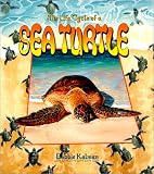 The Life Cycle of a Sea Turtle