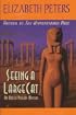 Seeing a Large Cat (G K Hall Large Print Book Series (Cloth))