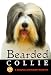 Bearded Collie : Bearded Collie: A Complete and Reliable Handbook (Complete & Reliable Handbook)