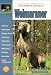 Weimaraner Dog Breed Book : The Guide to Owning a Weimaraner (Guide to Owning A...)