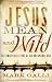 Mark Galli: Jesus: Mean and Wild