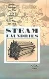 Steam Laundries: Gender, Technology, and Work in the United States and Great Britain, 1880--1940 (Johns Hopkins Studies in the History of Technology)
