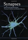 Synapses