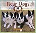 Search : Bear Dogs : Canines with a Mission