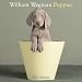   - William Wegman Puppies 2007 Wall Calendar