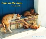 Cats in the Sun 2006 Wall Calendar