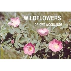 Wildflowers of Iowa Woodlands
