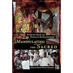 Manipulating the Sacred: Yoruba Art, Ritual, and Resistance in Brazilian Candomble (African American Life Series)