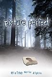 Picture Perfect