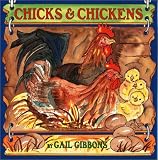 Chicks & Chickens