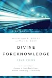Divine Foreknowledge: 4 Views