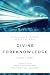 Divine Foreknowledge: 4 Views