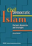 Civil Democratic Islam: Partners, Resources, and Strategies