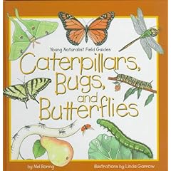 Caterpillars, Bugs, and Butterflies (Young Naturalist Field Guides)