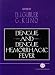 Dengue and Dengue Hemorrahgic Fever