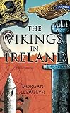 More about The Vikings in Ireland 