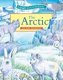 The Arctic