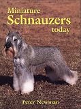 Miniature Schnauzers Today