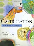 Gastrulation: From Cells to Embryo