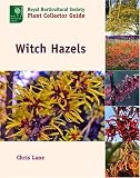 Witch Hazels (Royal Horticultural Society Plant Collector Guide)