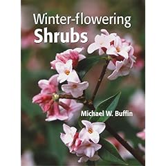 Winter-Flowering Shrubs