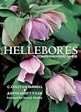 Hellebores: A Comprehensive Guide