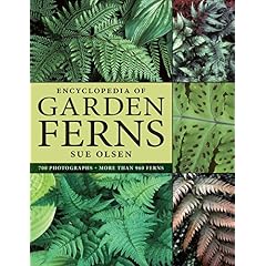 Click to buy via Amazon.co.uk