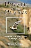 Pirate of the Plains: Adventures With Prairie Falcons on the High Desert