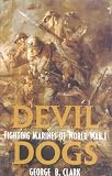 Devil Dogs Fighting Marines of World War I