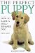 The Perfect Puppy : How to Raise a Well-Behaved Dog by Gwen Bailey